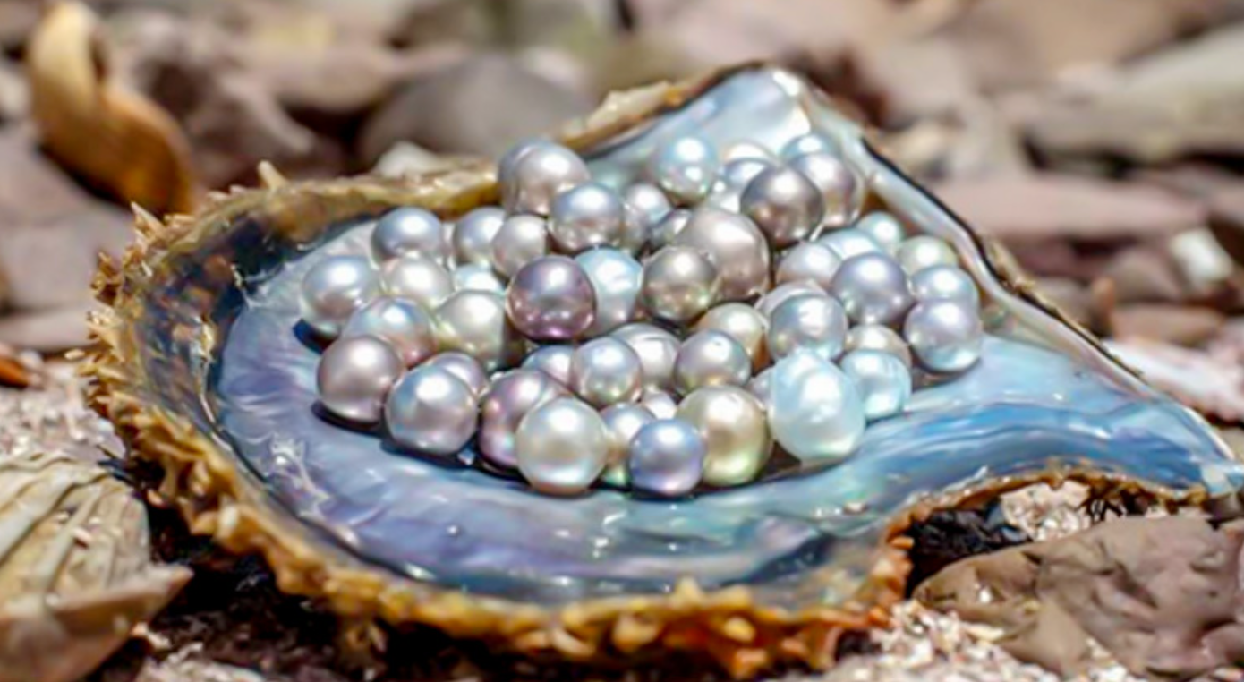 How Much Are Real Pearls Worth? Pearls Buying Guide – FARRA