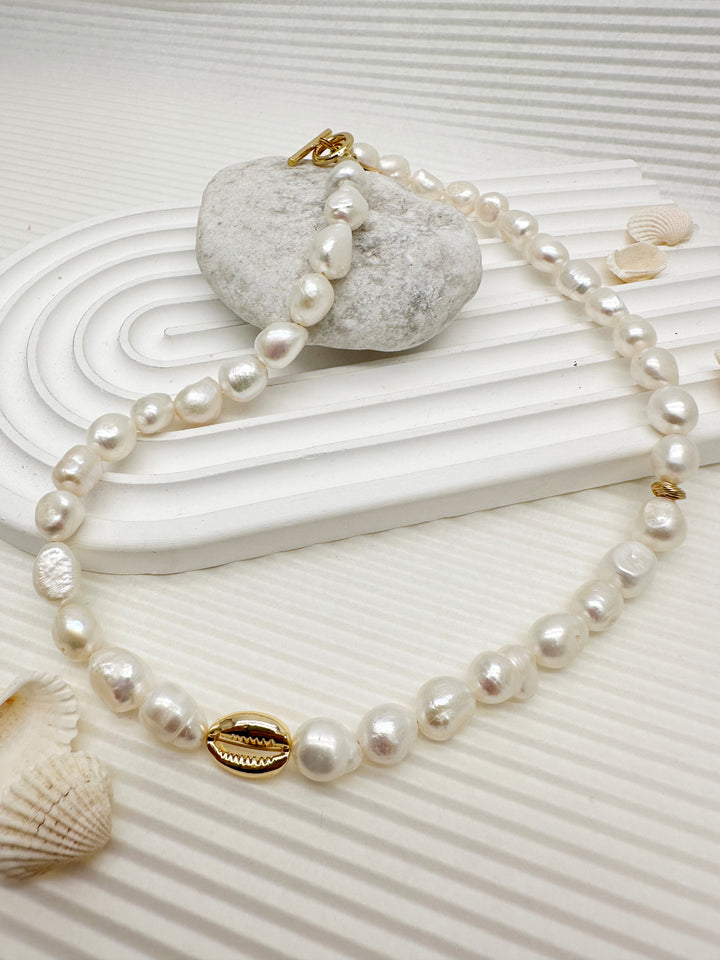 Irregular Freshwater Pearls with Gold Shell Charm Necklace LN055